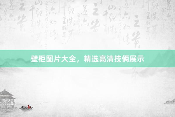 壁柜图片大全，精选高清技俩展示