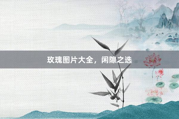玫瑰图片大全，闲隙之选