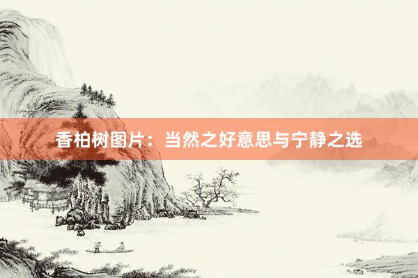 香柏树图片：当然之好意思与宁静之选