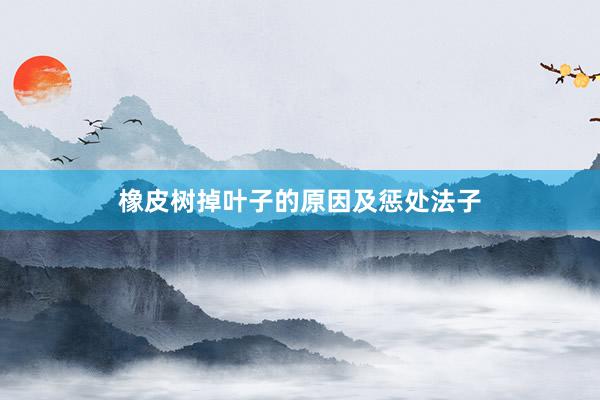 橡皮树掉叶子的原因及惩处法子