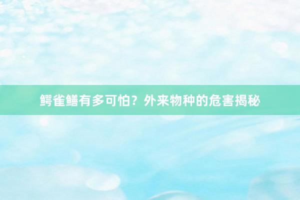 鳄雀鳝有多可怕？外来物种的危害揭秘